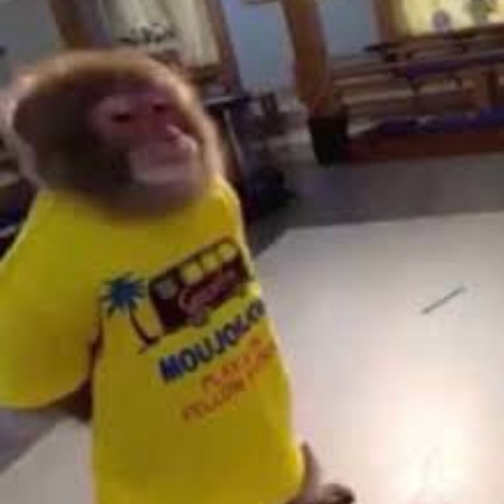 Meet your Posher, Claire